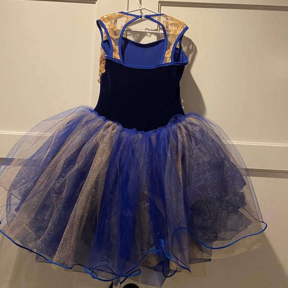 Dance Recital Costume - Picture 4 of 5